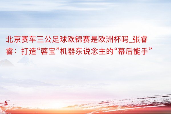 北京赛车三公足球欧锦赛是欧洲杯吗_张睿睿：打造“蓉宝”机器东说念主的“幕后能手”