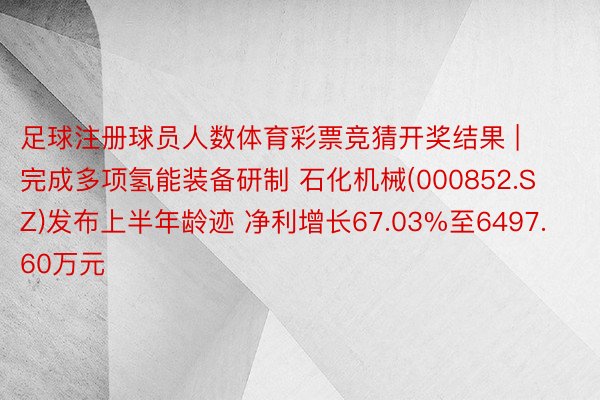 足球注册球员人数体育彩票竞猜开奖结果 | 完成多项氢能装备研制 石化机械(000852.SZ)发布上半年龄迹 净利增长67.03%至6497.60万元