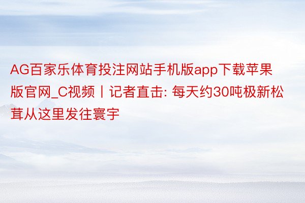 AG百家乐体育投注网站手机版app下载苹果版官网_C视频丨记者直击: 每天约30吨极新松茸从这里发往寰宇