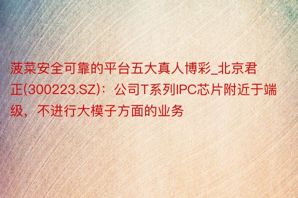 菠菜安全可靠的平台五大真人博彩_北京君正(300223.SZ)：公司T系列IPC芯片附近于端级，不进行大模子方面的业务