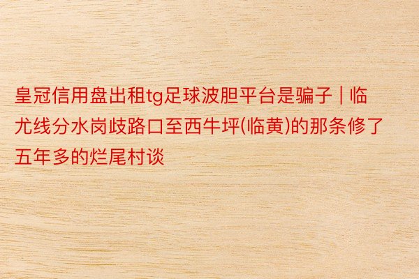 皇冠信用盘出租tg足球波胆平台是骗子 | 临尤线分水岗歧路口至西牛坪(临黄)的那条修了五年多的烂尾村谈